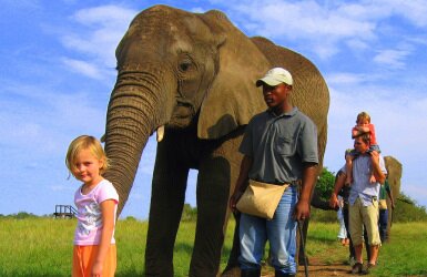 elephantsanctuary_featured