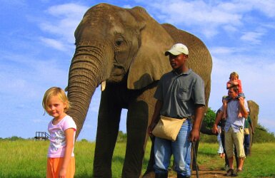 elephantsanctuary_featured