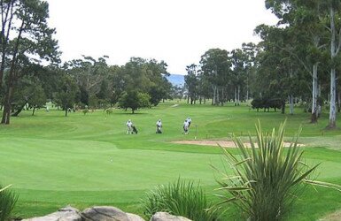 Single plettenberg